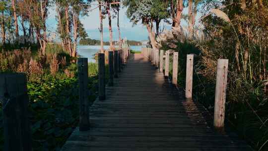 云南旅游滇池南岸湿地公园