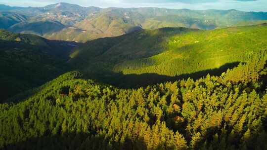 航拍山脉绿色森林天然氧吧山峰山脊山顶碳汇