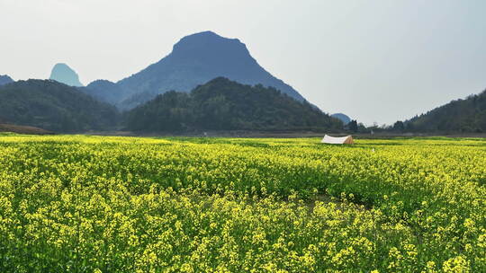 春天阳光下桂林山谷中的湖和岸边的油菜花