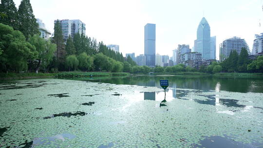 武汉汉口小南湖公园风景