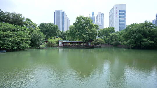 武汉历史名园中山公园视频素材模板下载