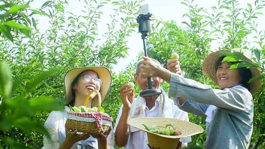 农产品直播 助农直播 果农