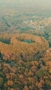 航拍南京钟山秋天竖屏