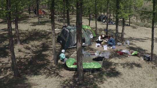 春天露营的游客们搭好的帐篷营地