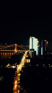 武汉沙湖大桥交通竖屏航拍