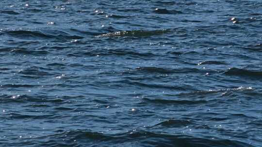 海水波浪湖面水面视频素材模板下载