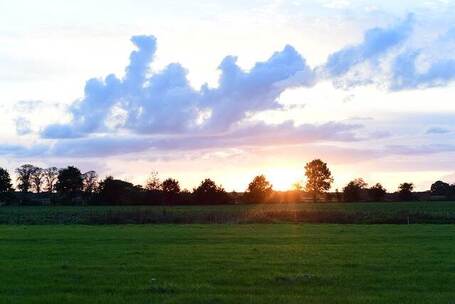 奥兰多乐园 轻柔 舒缓 电影 电视剧
