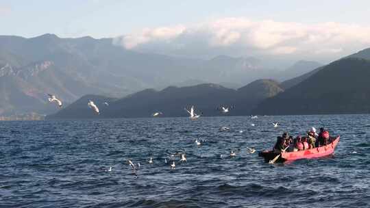 湖面上小船载客游览 周围有许多飞鸟 泸沽湖