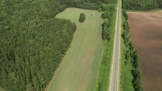 森林和田野之间的沥青公路