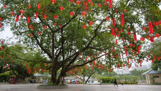 春节红灯笼祈福许愿树