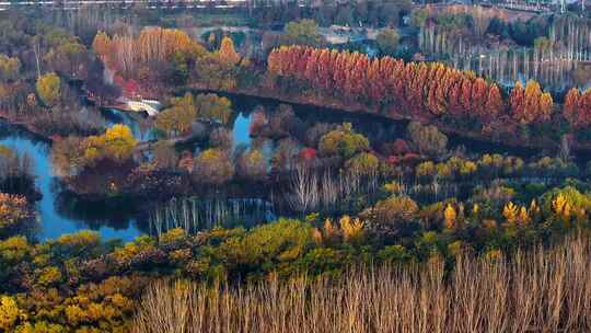 西安浐灞渭河湿地公园秋景视频素材模板下载