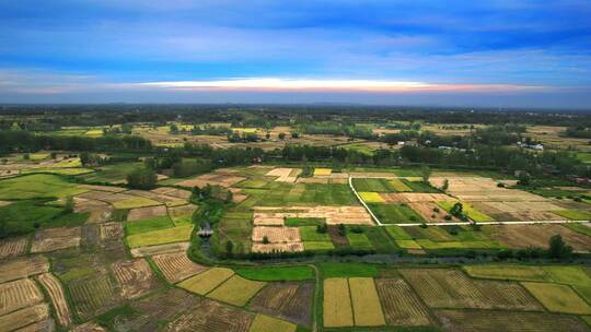 农村秋收稻田，收割完的稻田，丰收的季节