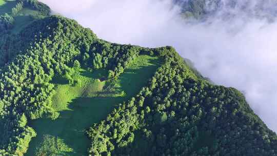 航拍夏季高山云海云雾阳光