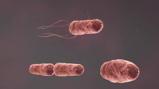 医学病原体病毒病原体病菌细菌医学三维动画