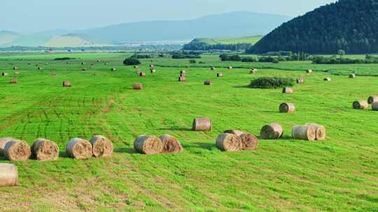 内蒙古草原草场秋收草卷