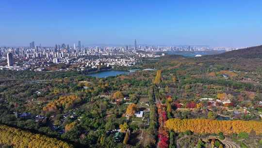 江苏南京灵山风景区秋天秋色航拍