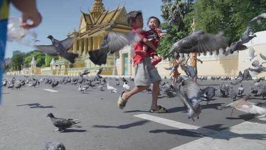 东南亚柬埔寨小孩在街上走 鸽子飞舞
