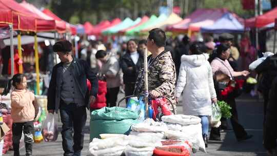 中国南方乡村集市  农村赶大集 人来人往