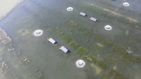 武汉梁子湖螃蟹养殖基地航拍