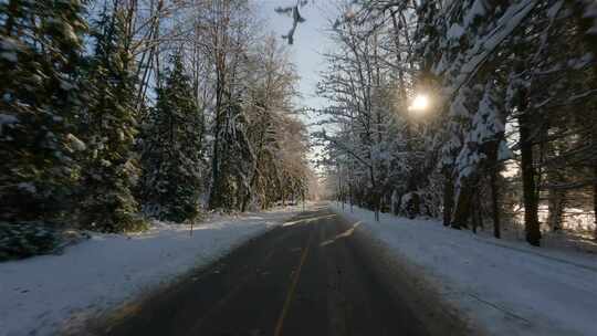 在雪中沿着冬季的道路行驶