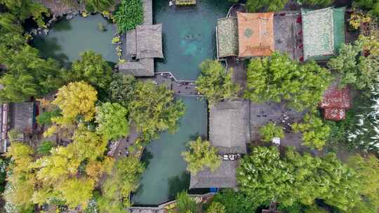 山东济南趵突泉秋冬黄色银杏航拍风景