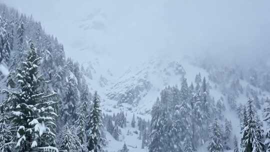 雪原风暴 狂风卷雪 冰峰屹立 白霜覆盖