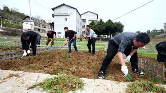 劳动空镜刨土锄地农场工人耕作劳作翻土