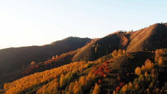 无人机，阿拉木图，哈萨克斯坦，山