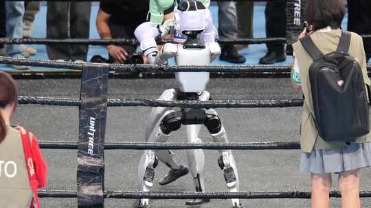 人形机器人擂台竞技场景