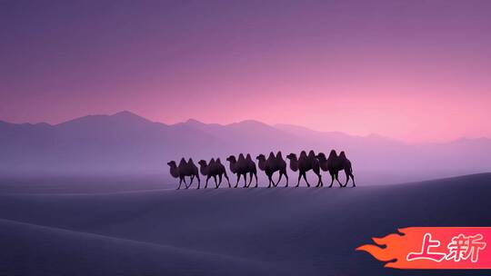 丝路驼队穿越千年文明史诗
