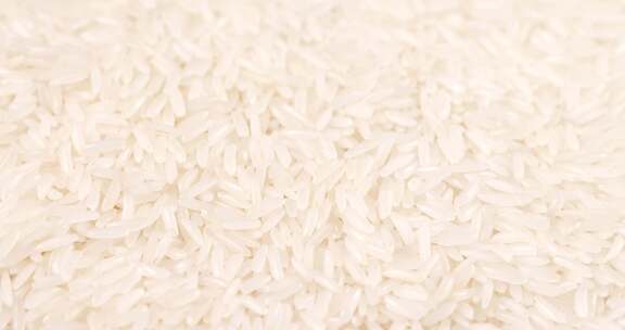 谷物 大米 颗粒 主食 五常大米