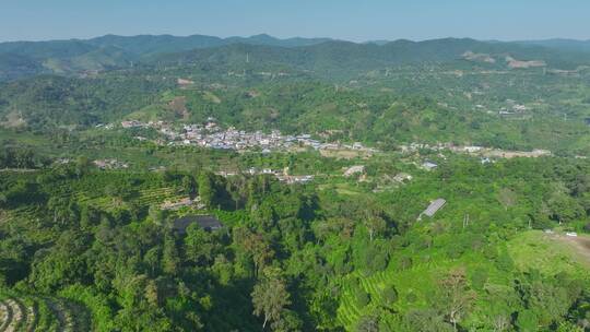 航拍茶山茶园