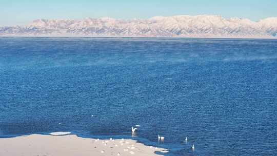 新疆博州赛里木湖冬季天鹅雪山航拍风景