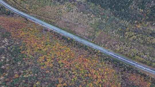 航拍视角伊春秋天公路