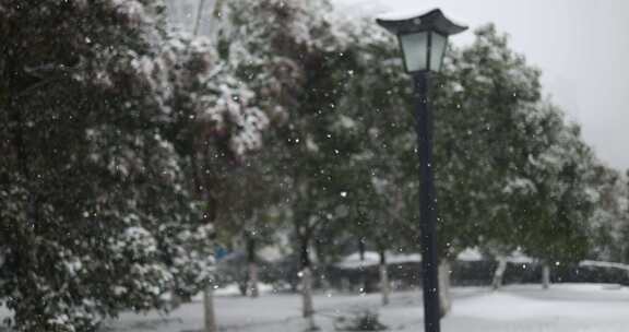 雪花飘落的慢镜头