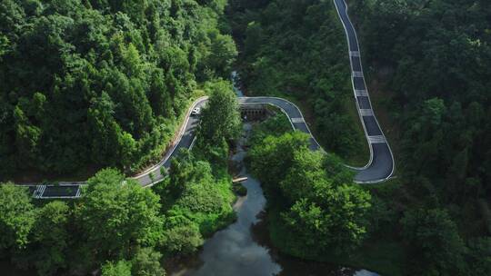 汽车行驶在山上蜿蜒林荫道路上