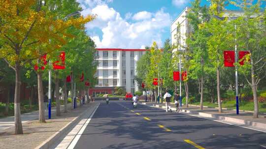 实拍道路边悬挂国旗