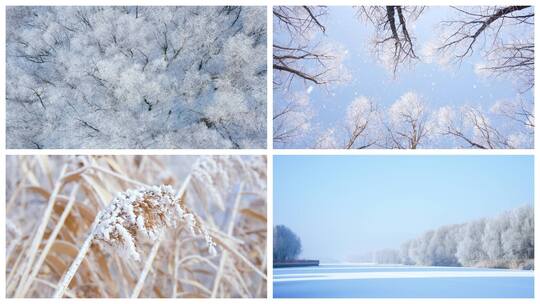 雾凇 冬天
