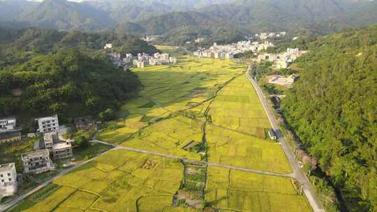 乡村航拍田野水库河流