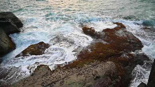 早晨大海海浪浪花拍打礁石升格慢动作