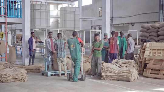 非洲埃塞俄比亚咖啡制作工厂视频素材模板下载