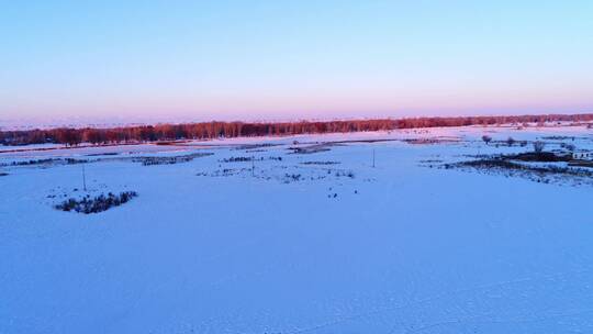 新疆天山夕阳下的林海雪原