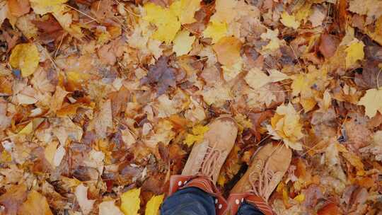 唯美秋天落叶在落叶上的脚视频素材模板下载