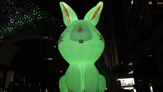 兔年夜晚卡通兔形象亮灯