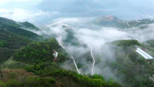 陕西秦岭镇安县海棠山