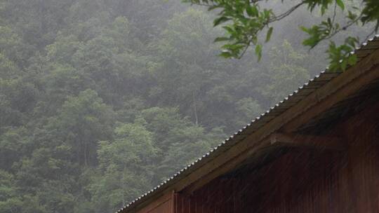 夏天的雨