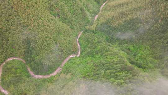 实拍雨后森林云雾缭绕 绿水青山 高山云海