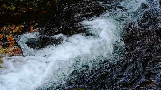 山泉水流水滴森林水流大自然酒水唯美广告