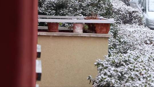 花园里的大雪