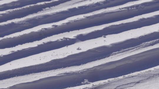 玩雪滑雪打雪仗紫竹院雪圈雪地